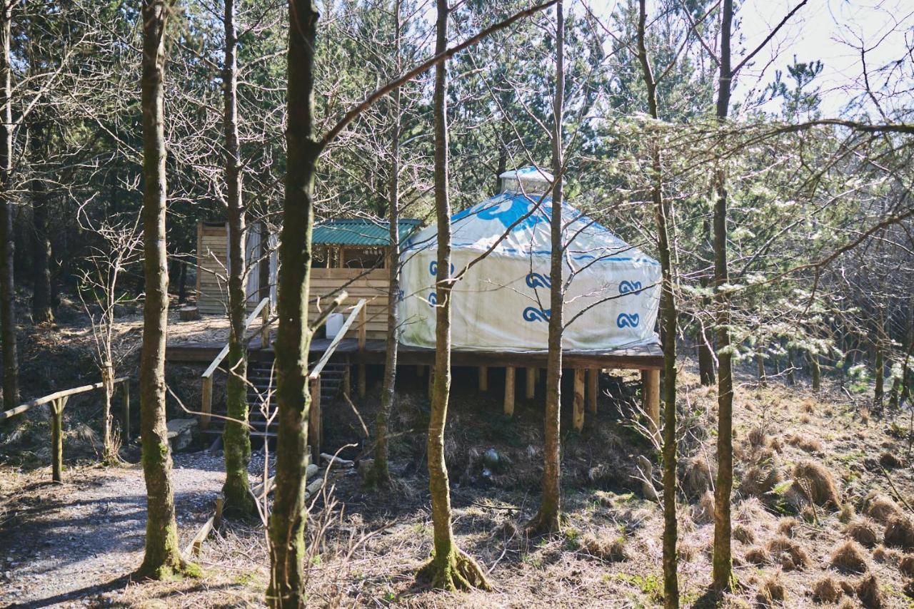 Hotel Elf Yurt - Yurtopia Aberystwyth Exterior foto